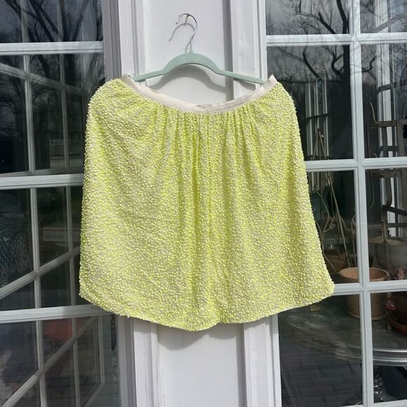 J Crew Collection Citron Sequin Silk Skirt NWT - Picture 7 of 7